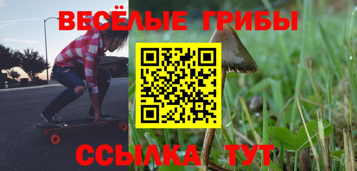 Галлюциногенные грибы Psilocybine cubensis Лосино-Петровский