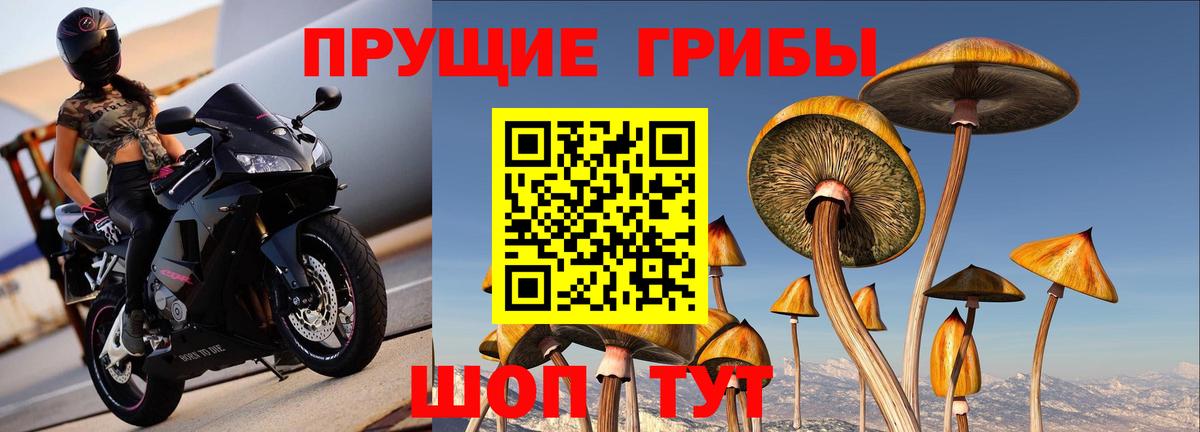 Лосино-Петровский  Псилоцибиновые грибы ЛСД  Галлюциногенные грибы Psilocybine cubensis  Вход с VPN 